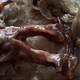 Image for article titled Remind yourself not to order out for alien fare with this list of gross sci-fi foods